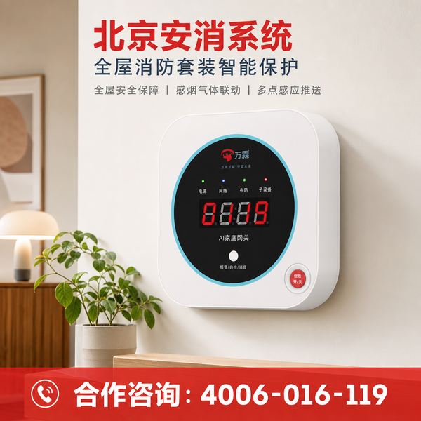 北京东城区小旅馆万霖NB-IoT燃气泄漏报警器应用